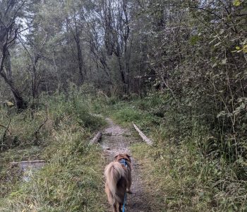 PXL_20240923_163441241